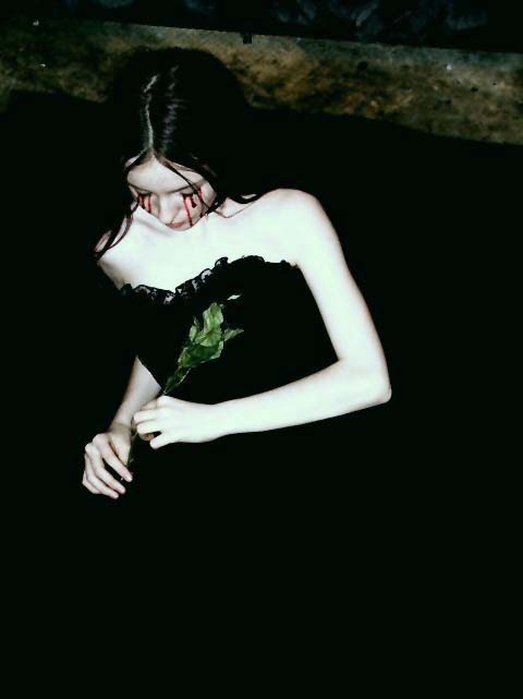 20060123201441-untitled.jpg